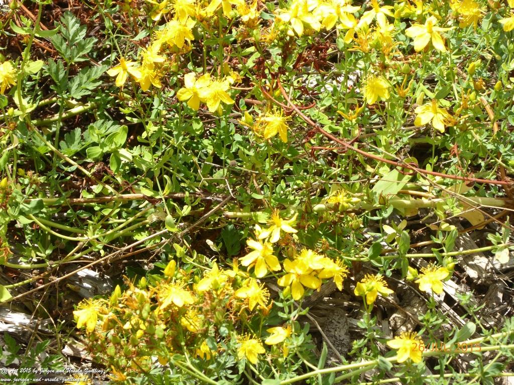 Philosophische Bildwanderung Michel\'s Vitaltour - Stromberg - Schindeldorf - Soonwald - Hunsrück - Naheland