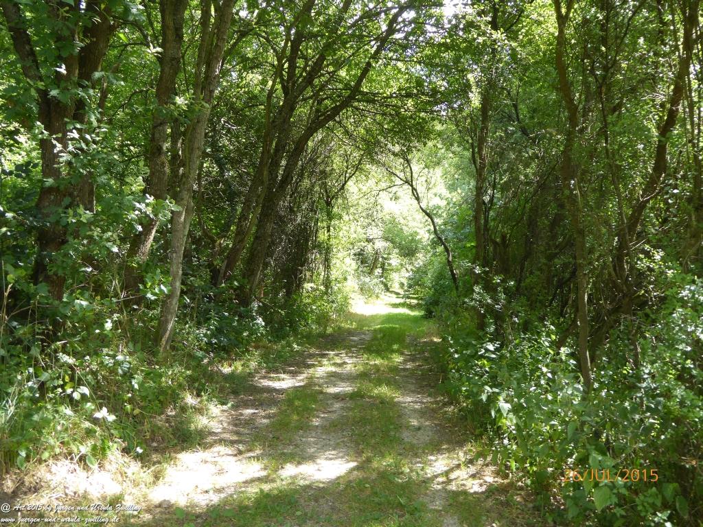 Philosophische Bildwanderung Michel\'s Vitaltour - Stromberg - Schindeldorf - Soonwald - Hunsrück - Naheland