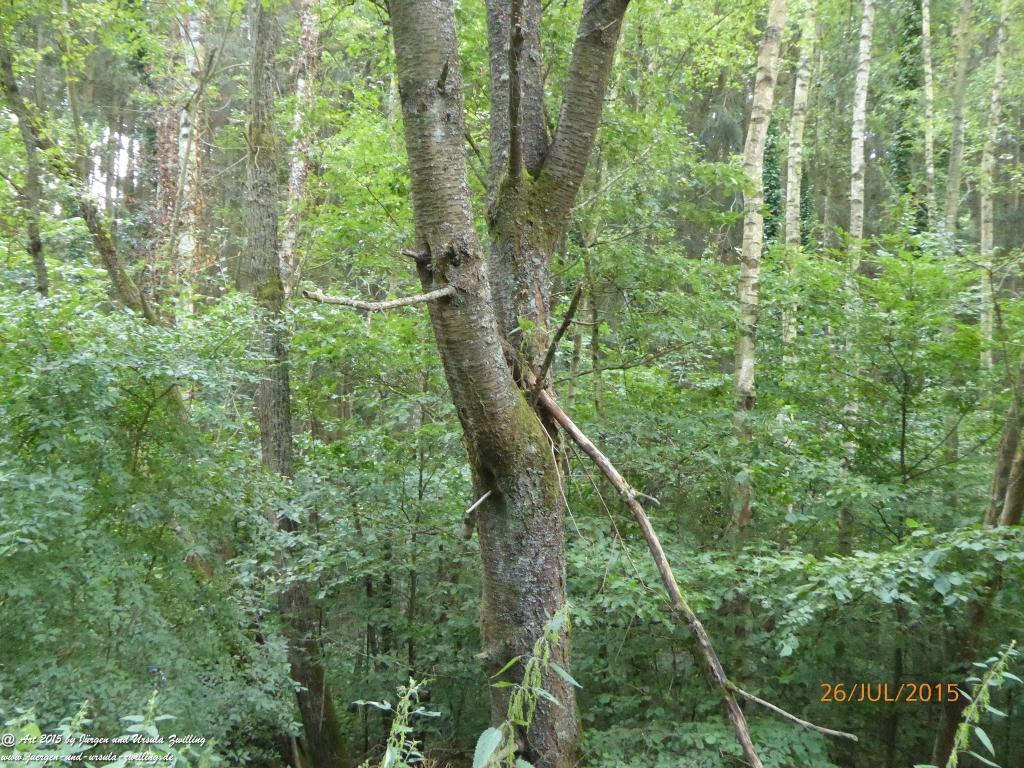 Philosophische Bildwanderung Michel\'s Vitaltour - Stromberg - Schindeldorf - Soonwald - Hunsrück - Naheland