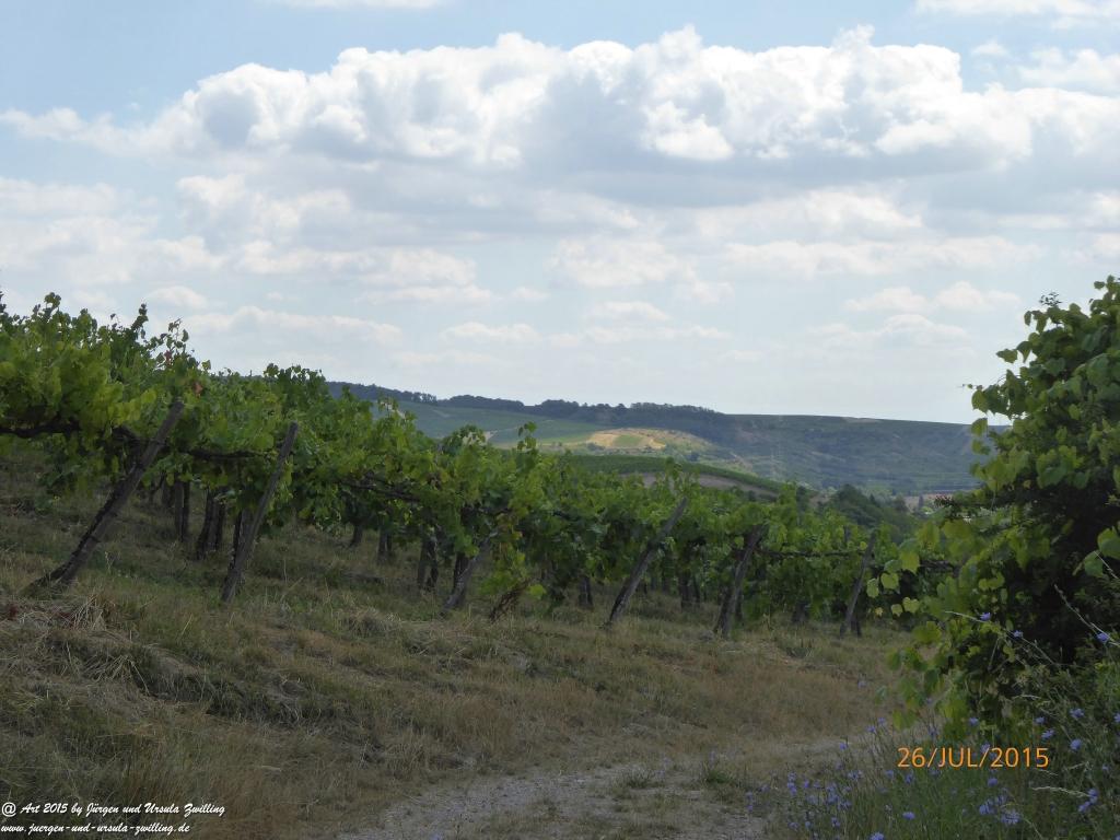 Philosophische Bildwanderung Michel\'s Vitaltour - Stromberg - Schindeldorf - Soonwald - Hunsrück - Naheland