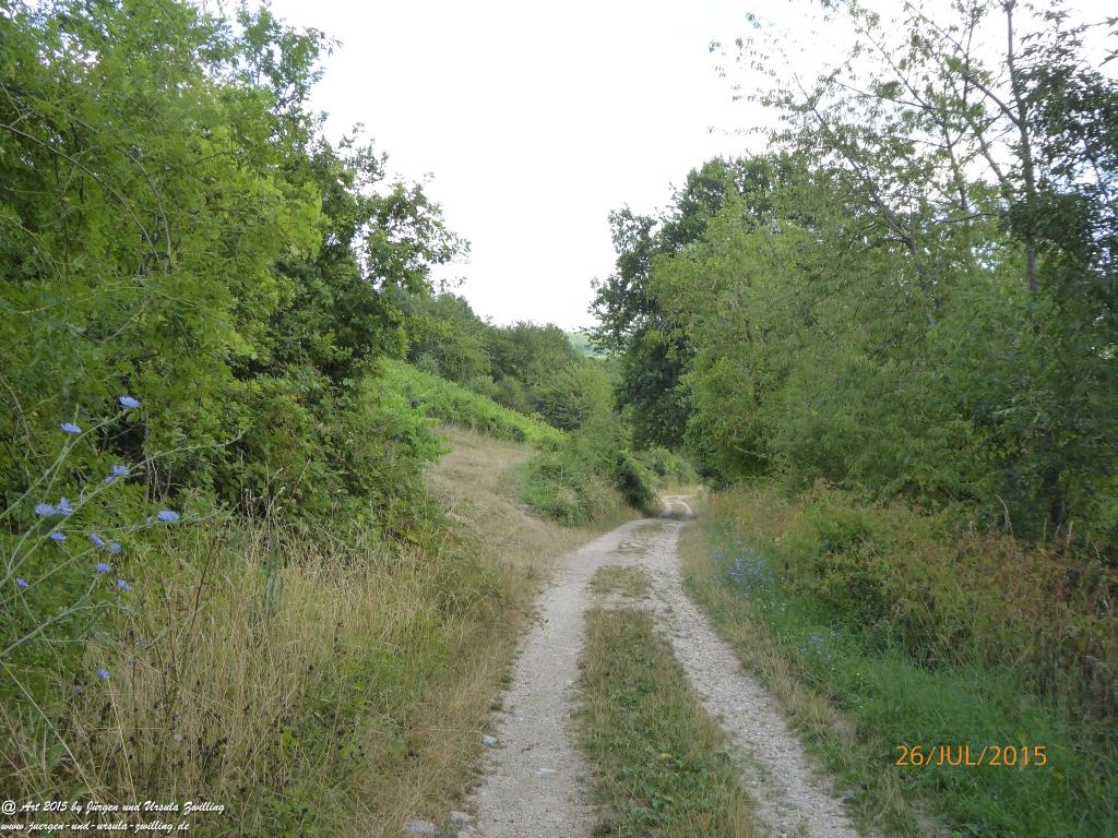 Philosophische Bildwanderung Michel\'s Vitaltour - Stromberg - Schindeldorf - Soonwald - Hunsrück - Naheland
