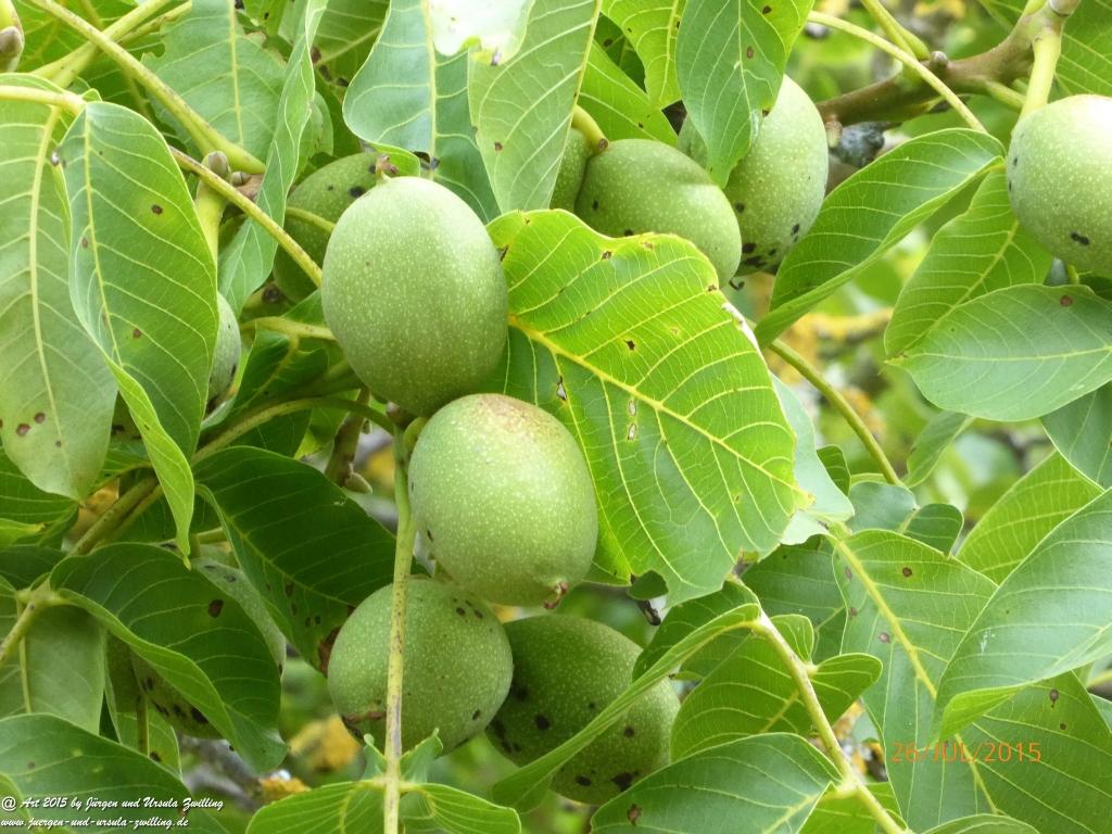 Philosophische Bildwanderung Michel\'s Vitaltour - Stromberg - Schindeldorf - Soonwald - Hunsrück - Naheland