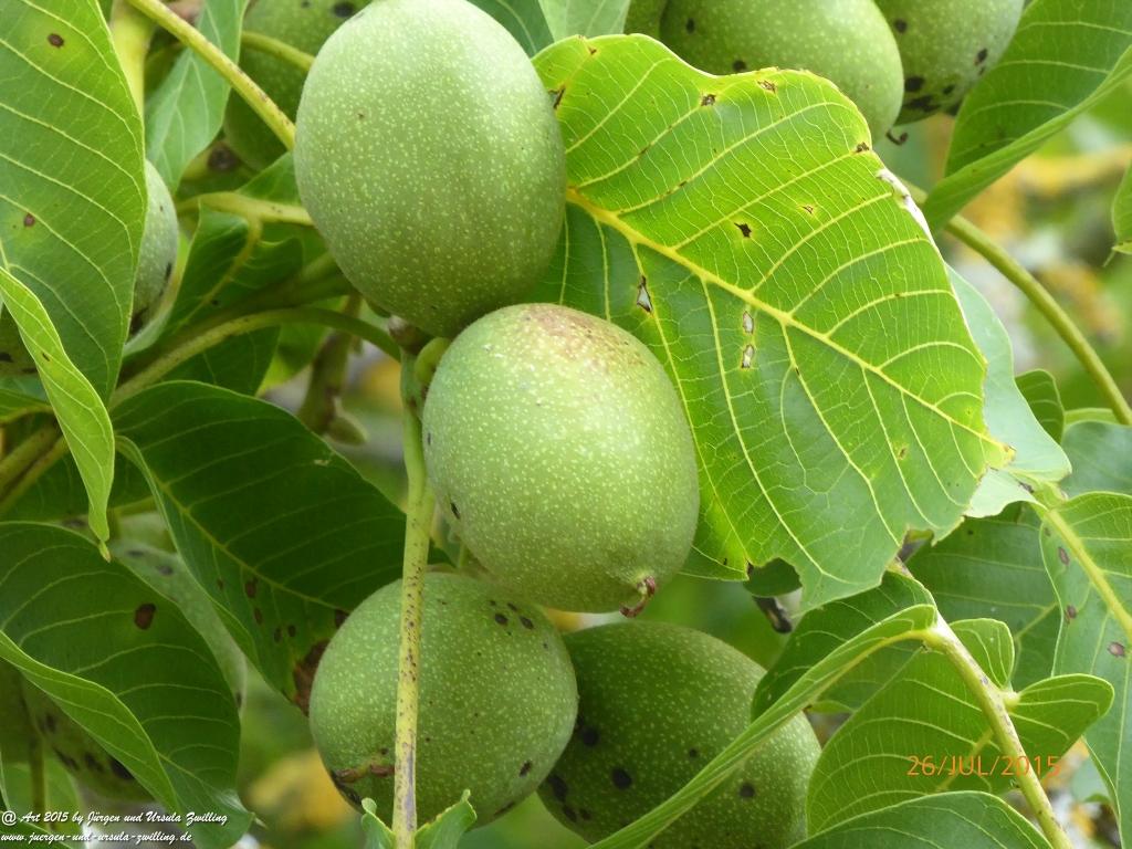 Philosophische Bildwanderung Michel\'s Vitaltour - Stromberg - Schindeldorf - Soonwald - Hunsrück - Naheland