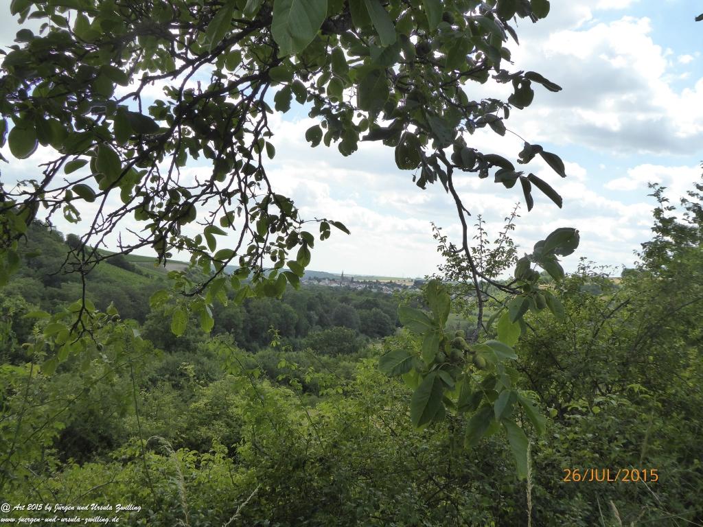 Philosophische Bildwanderung Michel\'s Vitaltour - Stromberg - Schindeldorf - Soonwald - Hunsrück - Naheland