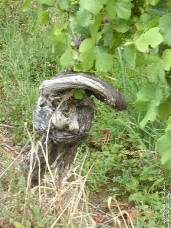 Philosophische Bildwanderung Michel\'s Vitaltour - Stromberg - Schindeldorf - Soonwald - Hunsrück - Naheland