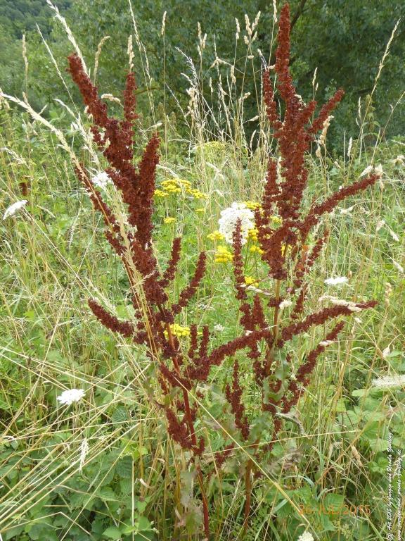 Philosophische Bildwanderung Michel\'s Vitaltour - Stromberg - Schindeldorf - Soonwald - Hunsrück - Naheland