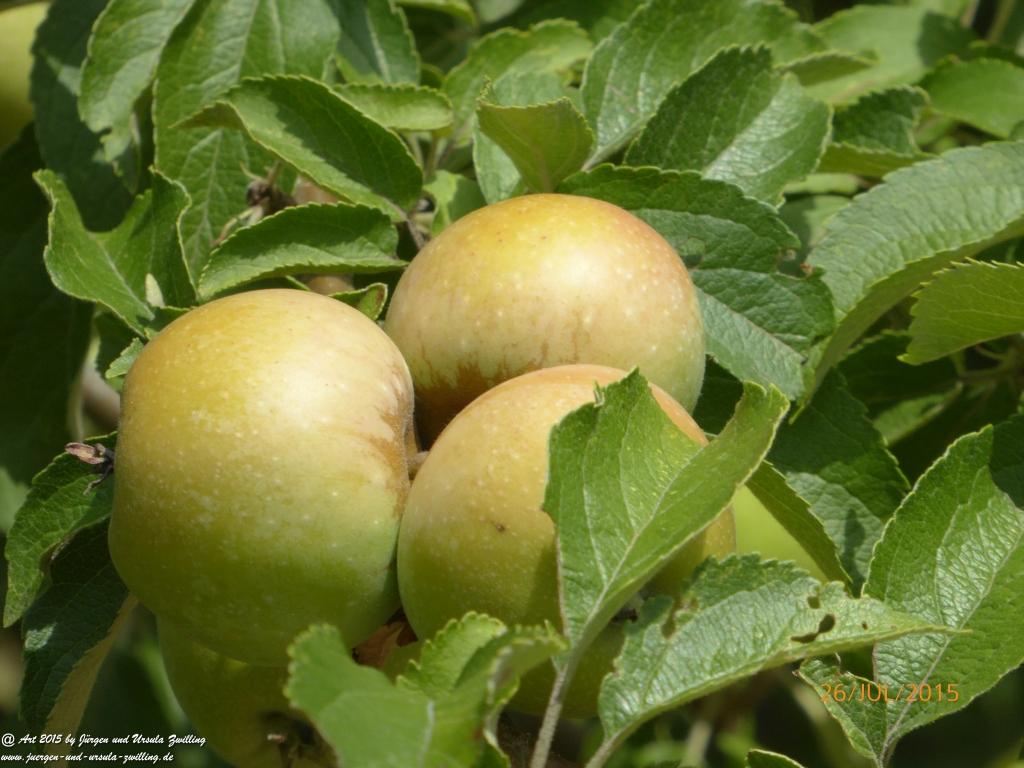 Philosophische Bildwanderung Michel\'s Vitaltour - Stromberg - Schindeldorf - Soonwald - Hunsrück - Naheland
