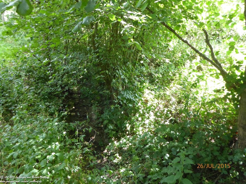 Philosophische Bildwanderung Michel\'s Vitaltour - Stromberg - Schindeldorf - Soonwald - Hunsrück - Naheland