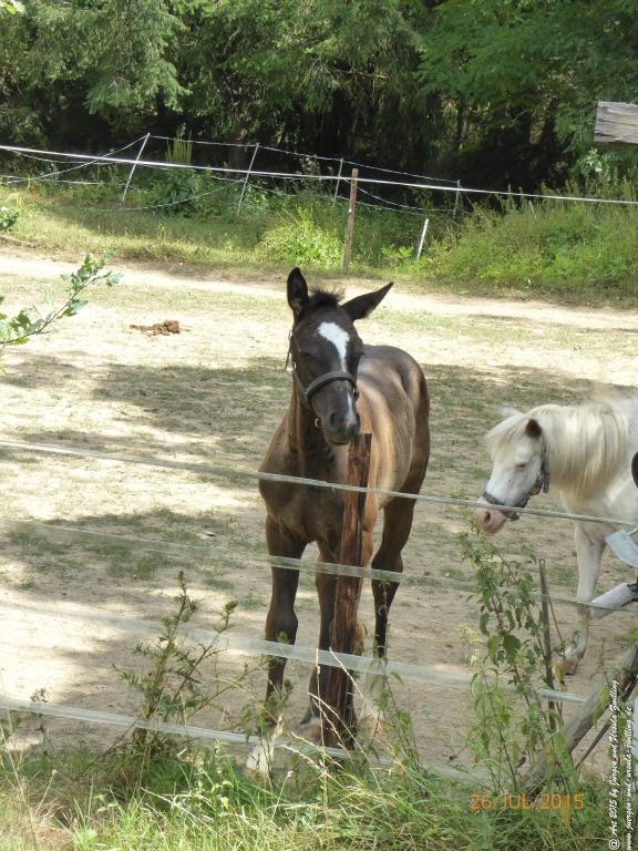 Philosophische Bildwanderung Michel\'s Vitaltour - Stromberg - Schindeldorf - Soonwald - Hunsrück - Naheland
