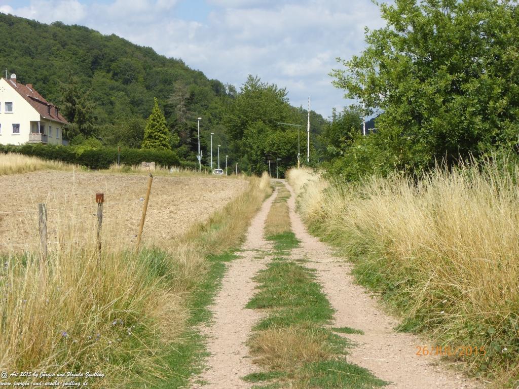 Philosophische Bildwanderung Michel\'s Vitaltour - Stromberg - Schindeldorf - Soonwald - Hunsrück - Naheland