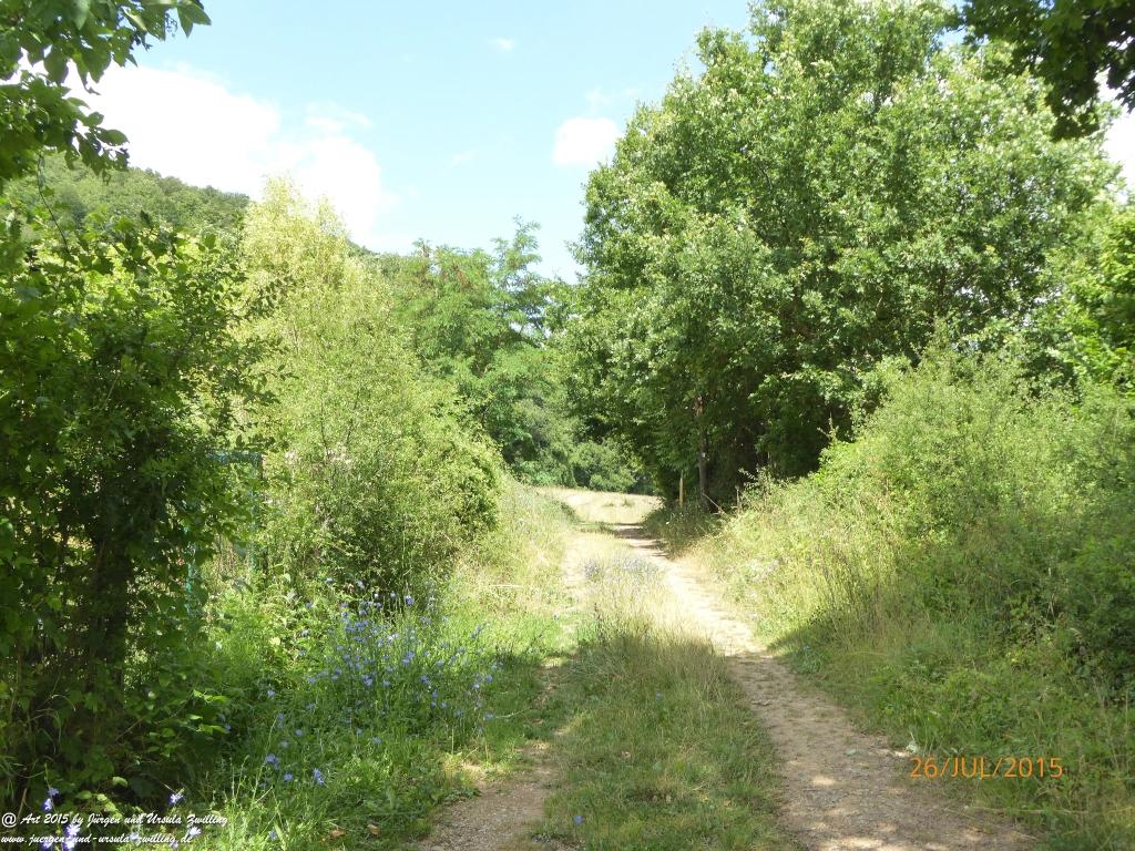 Philosophische Bildwanderung Michel\'s Vitaltour - Stromberg - Schindeldorf - Soonwald - Hunsrück - Naheland