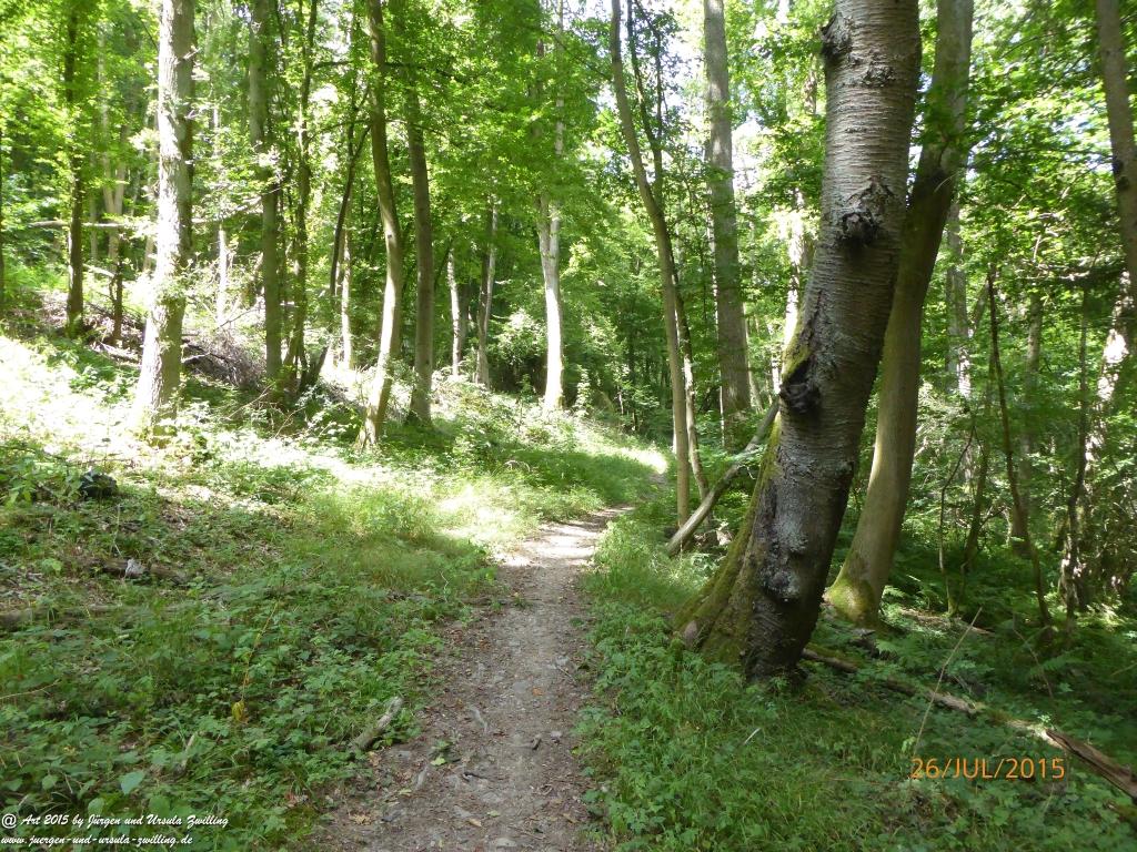 Philosophische Bildwanderung Michel\'s Vitaltour - Stromberg - Schindeldorf - Soonwald - Hunsrück - Naheland