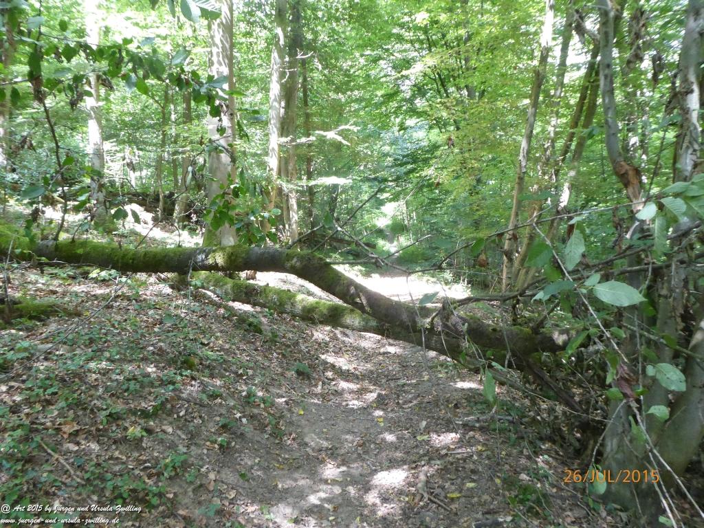 Philosophische Bildwanderung Michel\'s Vitaltour - Stromberg - Schindeldorf - Soonwald - Hunsrück - Naheland