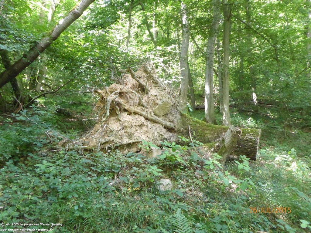 Philosophische Bildwanderung Michel\'s Vitaltour - Stromberg - Schindeldorf - Soonwald - Hunsrück - Naheland