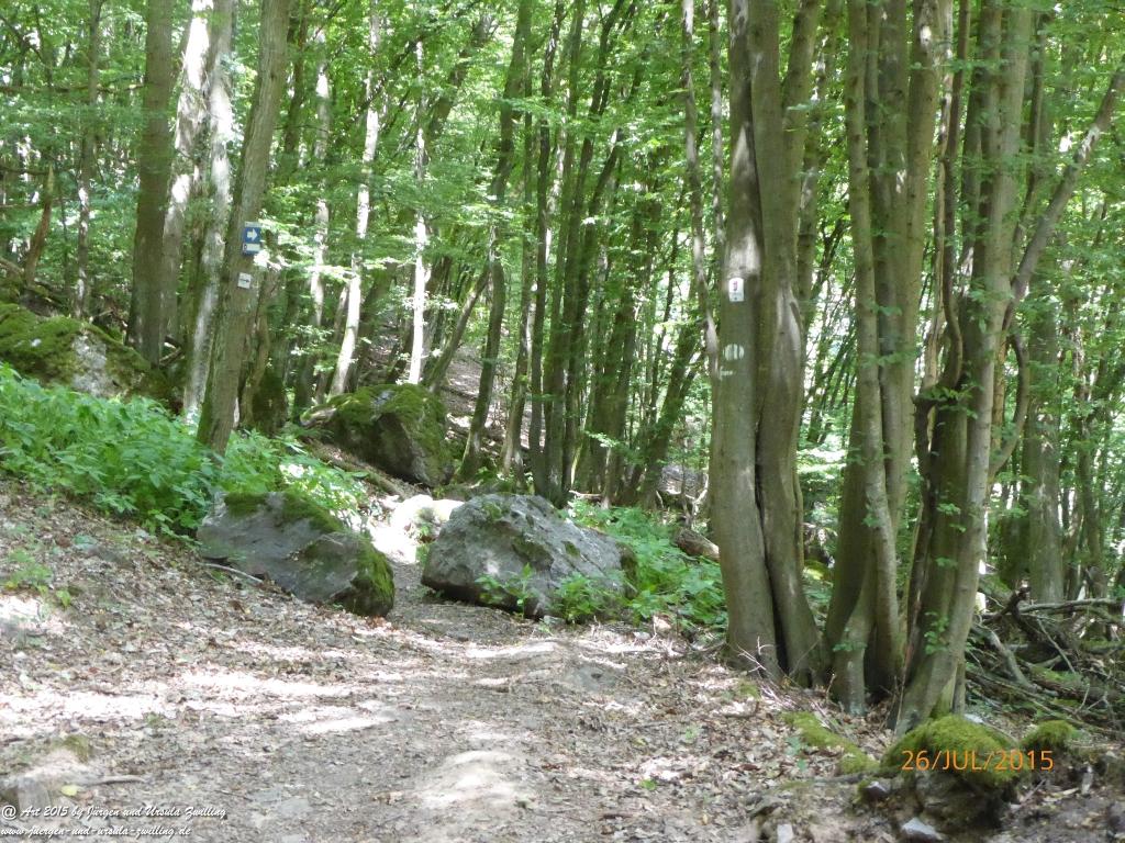 Philosophische Bildwanderung Michel\'s Vitaltour - Stromberg - Schindeldorf - Soonwald - Hunsrück - Naheland