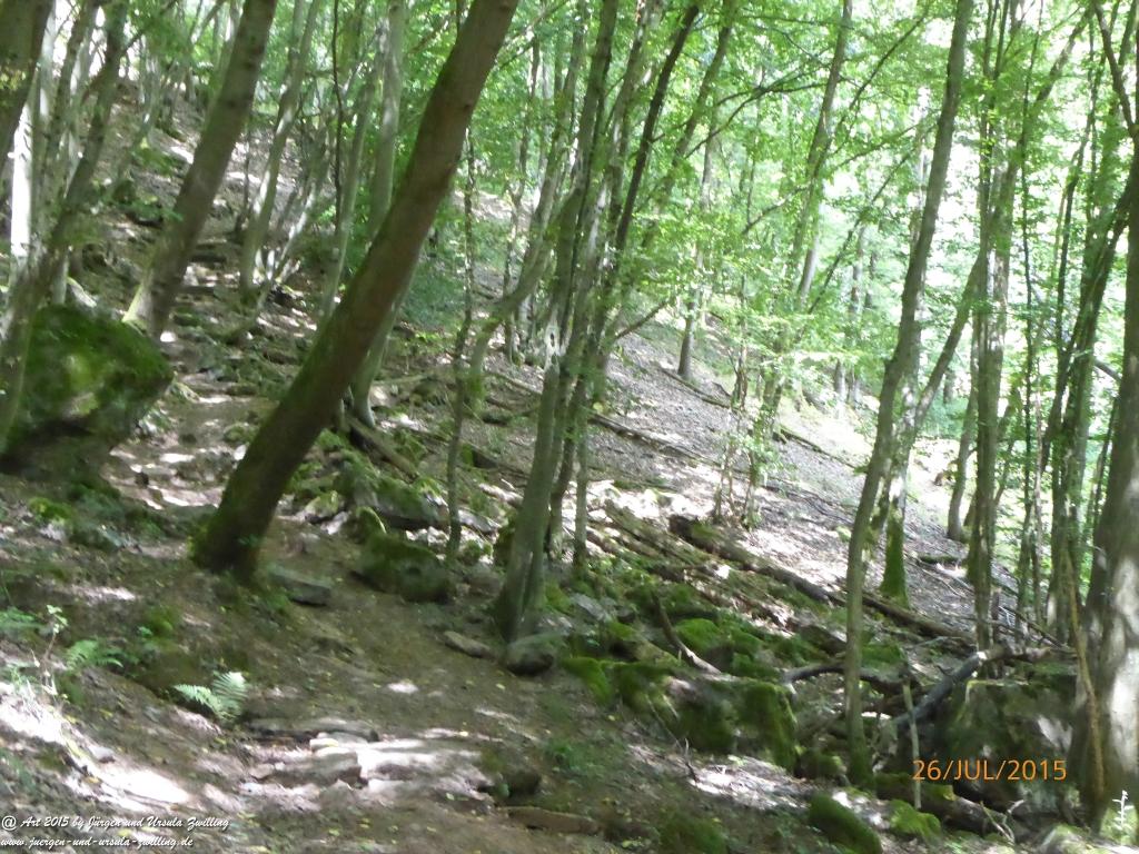 Philosophische Bildwanderung Michel\'s Vitaltour - Stromberg - Schindeldorf - Soonwald - Hunsrück - Naheland