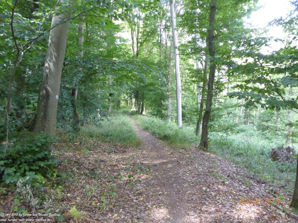 Philosophische Bildwanderung Michel\'s Vitaltour - Stromberg - Schindeldorf - Soonwald - Hunsrück - Naheland