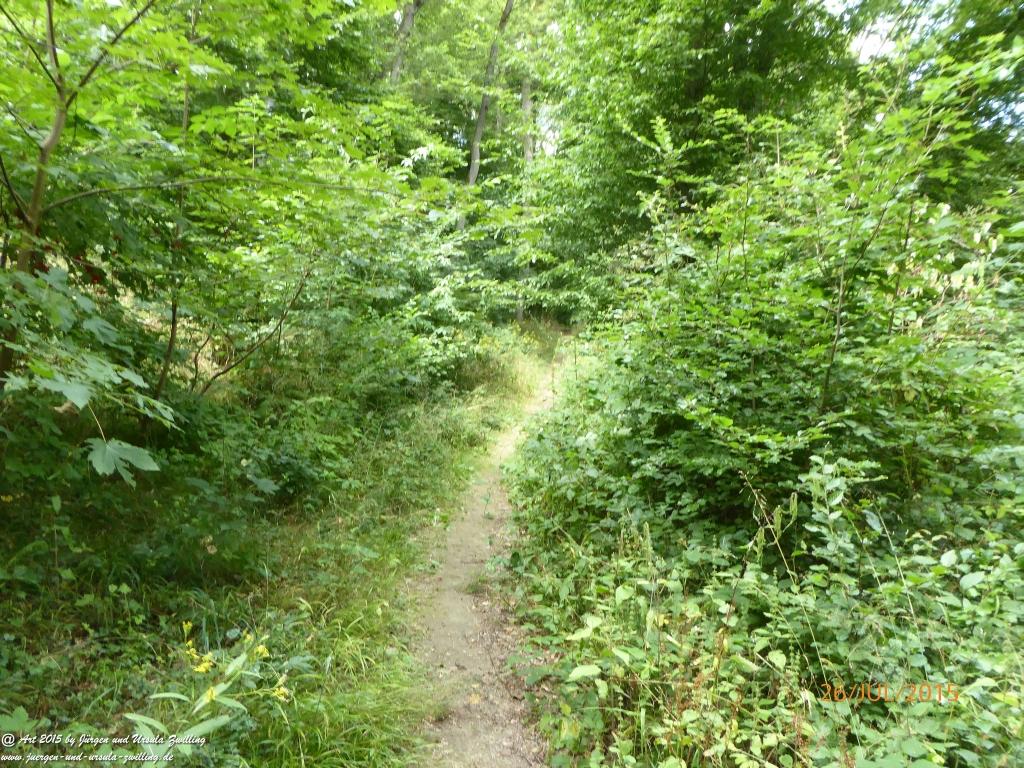 Philosophische Bildwanderung Michel\'s Vitaltour - Stromberg - Schindeldorf - Soonwald - Hunsrück - Naheland