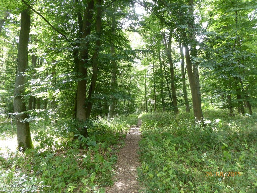 Philosophische Bildwanderung Michel\'s Vitaltour - Stromberg - Schindeldorf - Soonwald - Hunsrück - Naheland