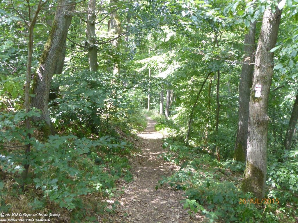 Philosophische Bildwanderung Michel\'s Vitaltour - Stromberg - Schindeldorf - Soonwald - Hunsrück - Naheland