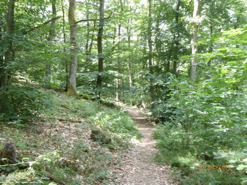 Philosophische Bildwanderung Michel\'s Vitaltour - Stromberg - Schindeldorf - Soonwald - Hunsrück - Naheland