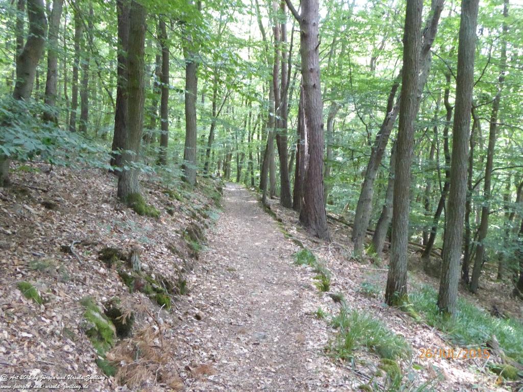 Philosophische Bildwanderung Michel\'s Vitaltour - Stromberg - Schindeldorf - Soonwald - Hunsrück - Naheland