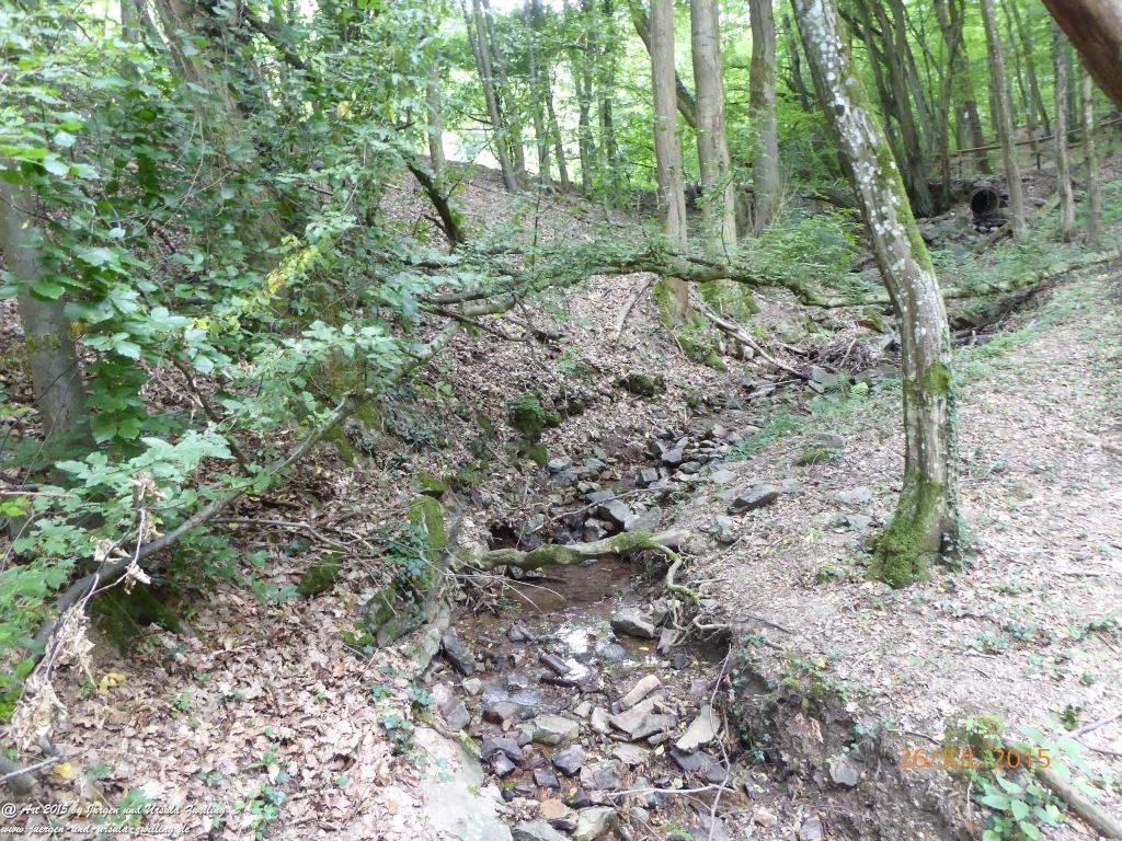 Philosophische Bildwanderung Michel\'s Vitaltour - Stromberg - Schindeldorf - Soonwald - Hunsrück - Naheland