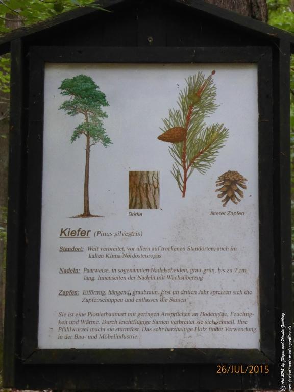 Philosophische Bildwanderung Michel\'s Vitaltour - Stromberg - Schindeldorf - Soonwald - Hunsrück - Naheland