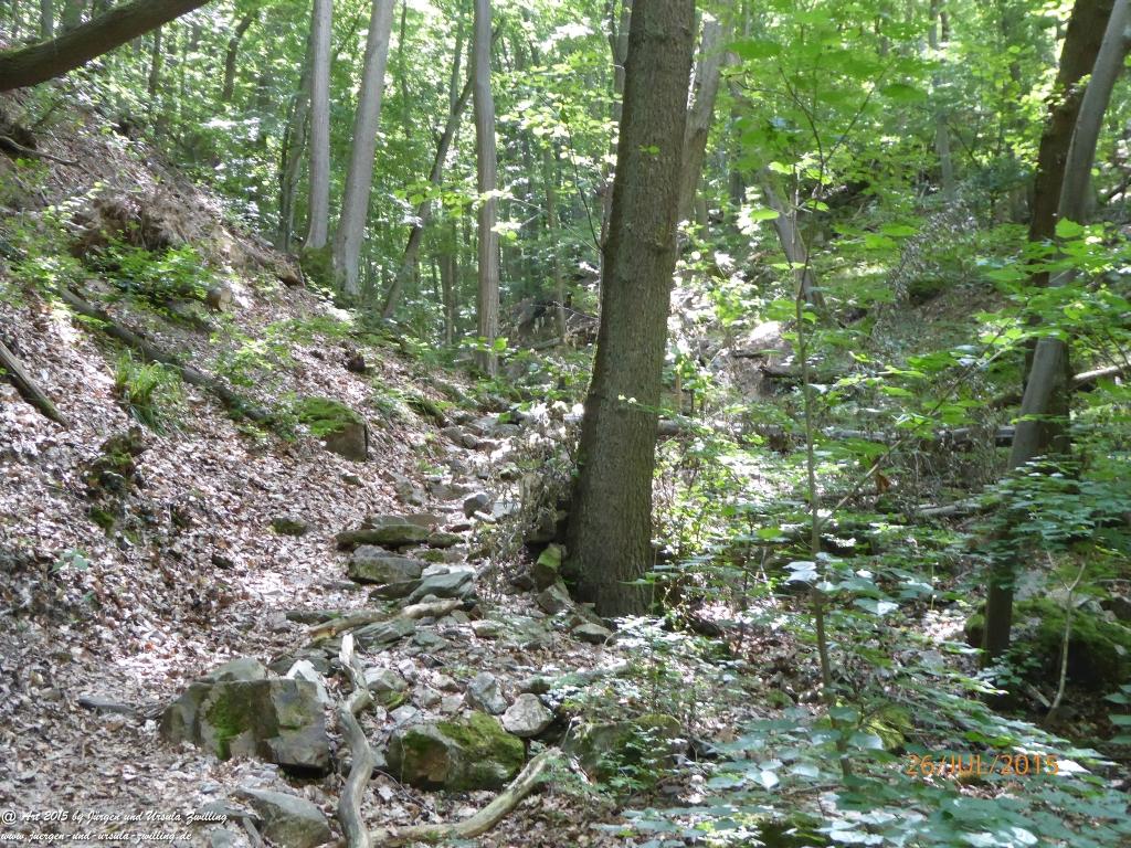 Philosophische Bildwanderung Michel\'s Vitaltour - Stromberg - Schindeldorf - Soonwald - Hunsrück - Naheland
