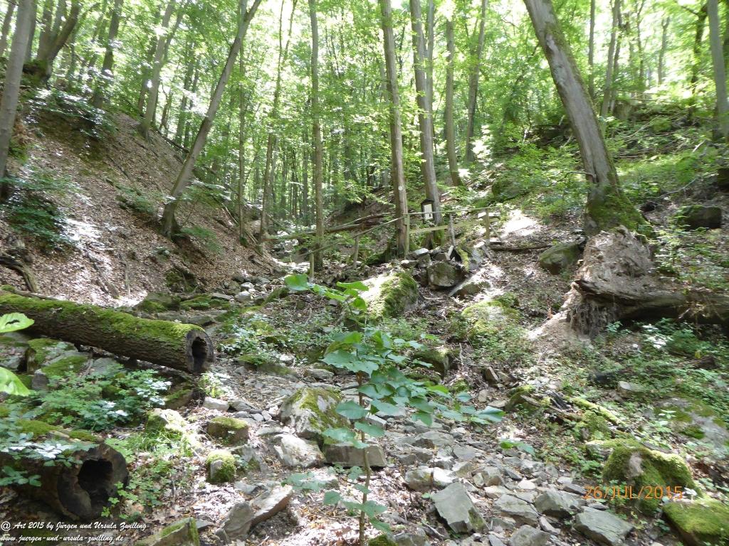 Philosophische Bildwanderung Michel\'s Vitaltour - Stromberg - Schindeldorf - Soonwald - Hunsrück - Naheland