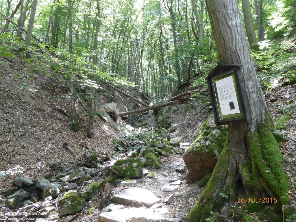 Philosophische Bildwanderung Michel\'s Vitaltour - Stromberg - Schindeldorf - Soonwald - Hunsrück - Naheland