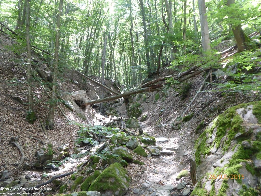 Philosophische Bildwanderung Michel\'s Vitaltour - Stromberg - Schindeldorf - Soonwald - Hunsrück - Naheland