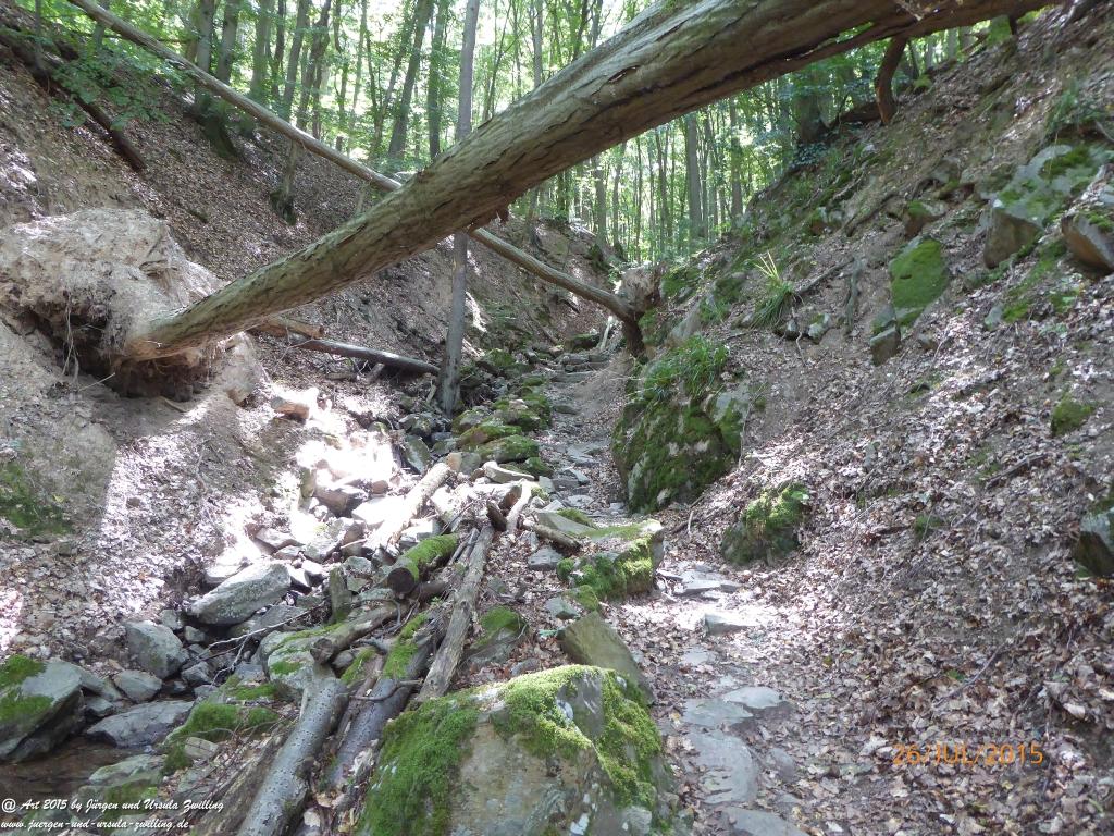 Philosophische Bildwanderung Michel\'s Vitaltour - Stromberg - Schindeldorf - Soonwald - Hunsrück - Naheland