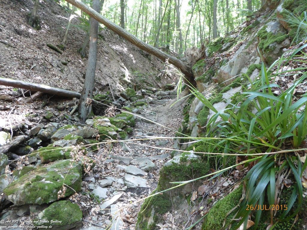 Philosophische Bildwanderung Michel\'s Vitaltour - Stromberg - Schindeldorf - Soonwald - Hunsrück - Naheland