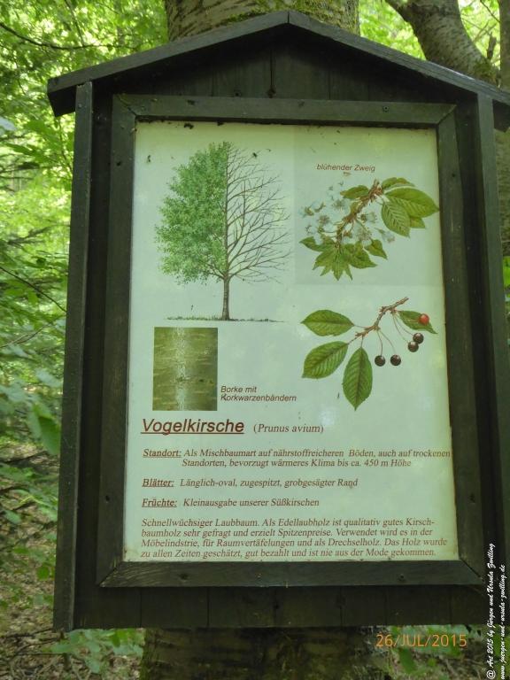 Philosophische Bildwanderung Michel\'s Vitaltour - Stromberg - Schindeldorf - Soonwald - Hunsrück - Naheland