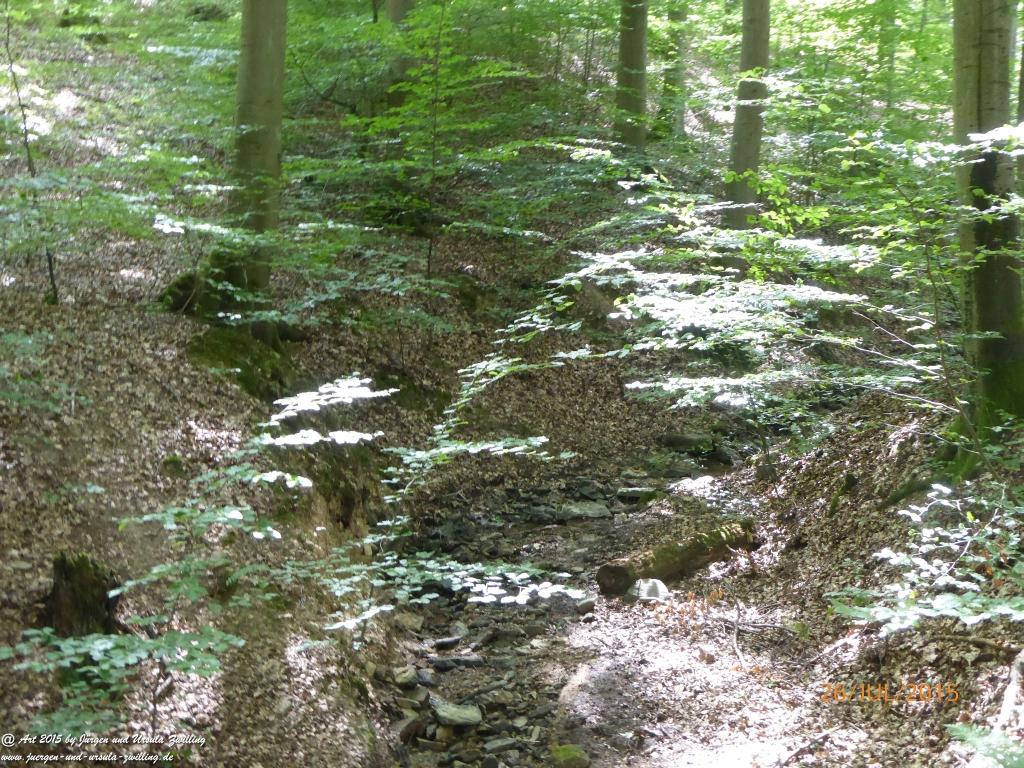 Philosophische Bildwanderung Michel\'s Vitaltour - Stromberg - Schindeldorf - Soonwald - Hunsrück - Naheland