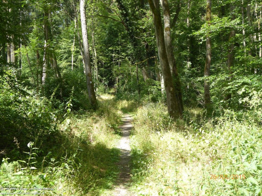 Philosophische Bildwanderung Michel\'s Vitaltour - Stromberg - Schindeldorf - Soonwald - Hunsrück - Naheland