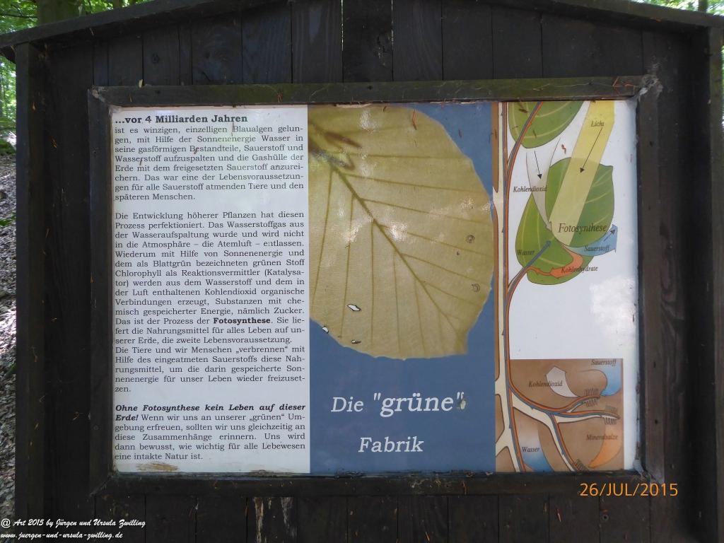 Philosophische Bildwanderung Michel\'s Vitaltour - Stromberg - Schindeldorf - Soonwald - Hunsrück - Naheland