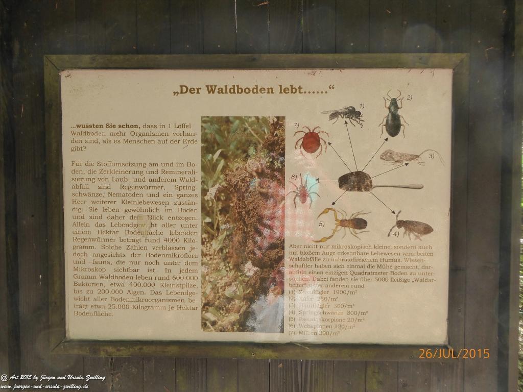 Philosophische Bildwanderung Michel\'s Vitaltour - Stromberg - Schindeldorf - Soonwald - Hunsrück - Naheland