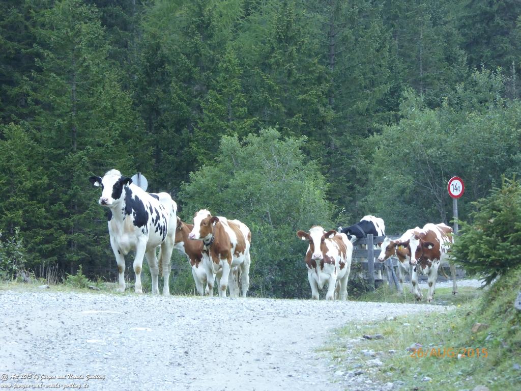 Philosophische Bildwanderung Innsbrucker Hütte - Neustift in Tirol - Stubaital - Österreich