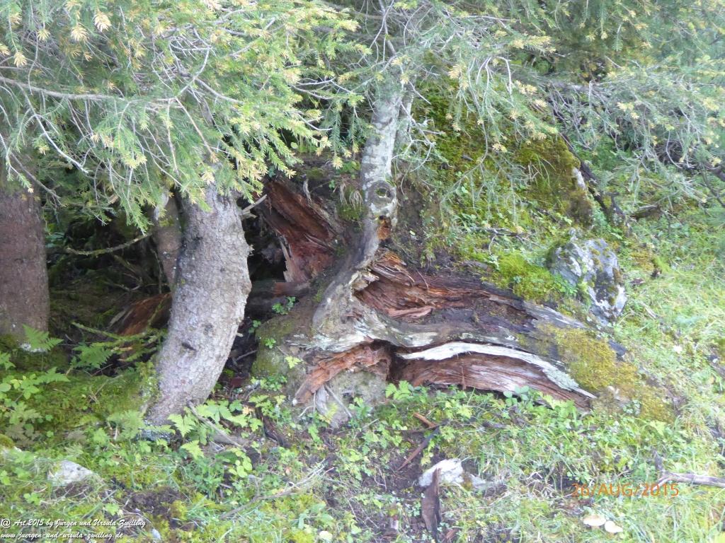 Philosophische Bildwanderung Innsbrucker Hütte - Neustift in Tirol - Stubaital - Österreich