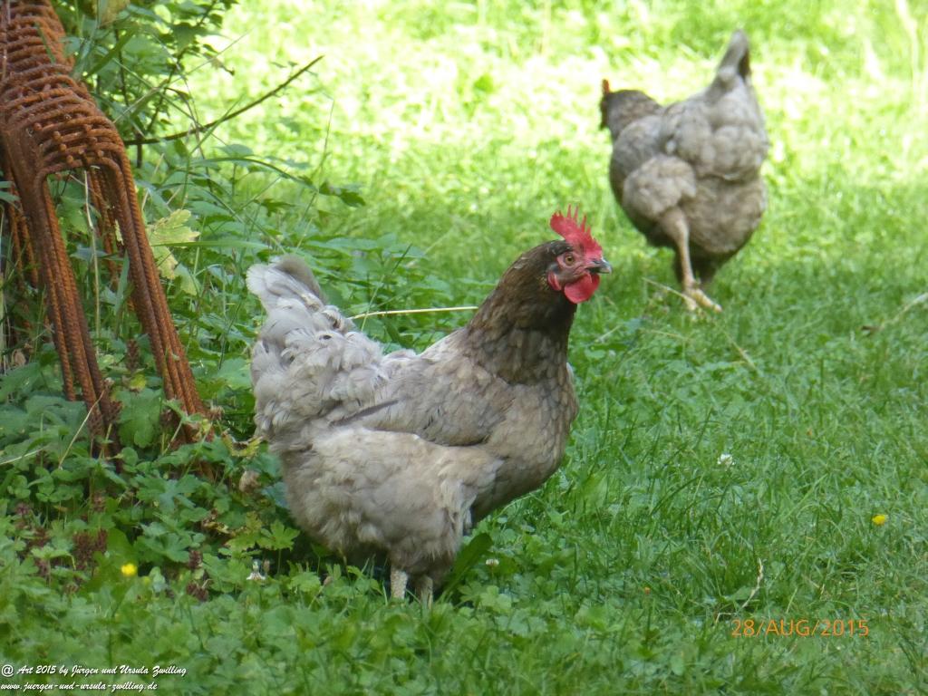 Philosophische Bildwanderung Starkenburger Hütte - Neustift in Tirol - Stubaital - Österreich