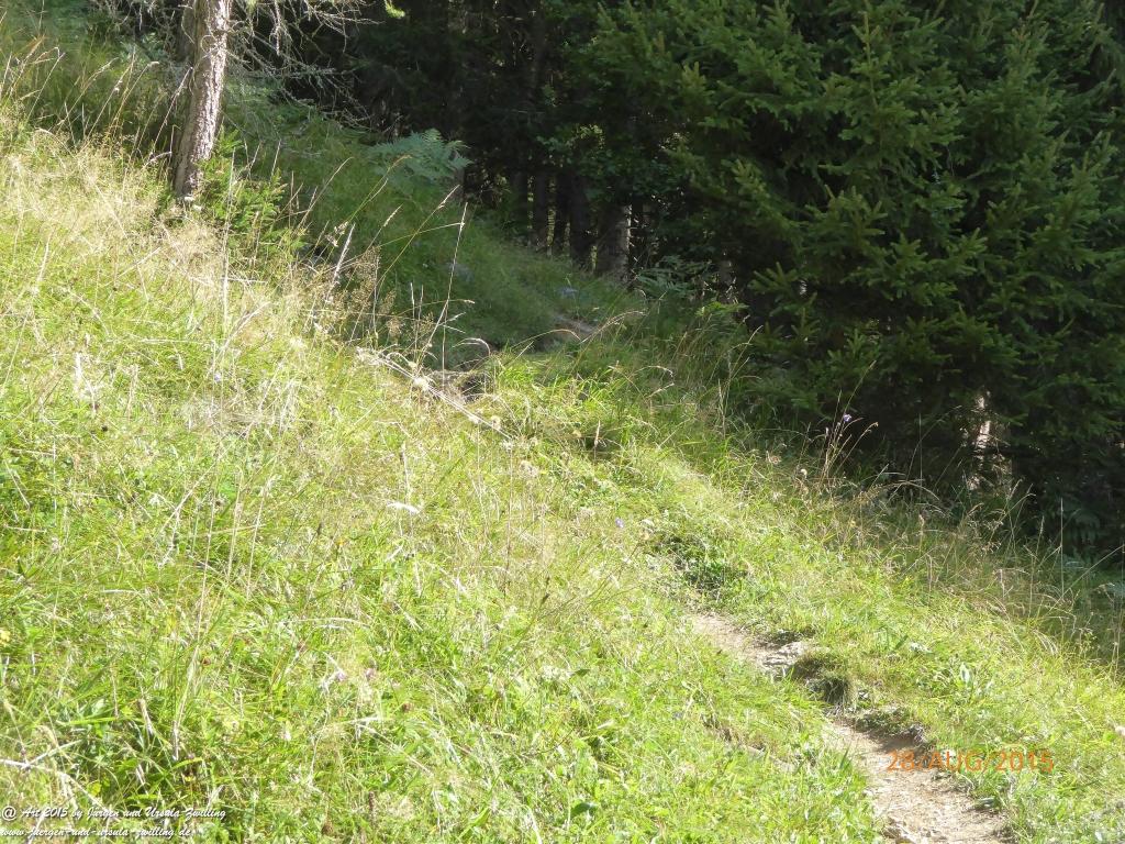 Philosophische Bildwanderung Starkenburger Hütte - Neustift in Tirol - Stubaital - Österreich