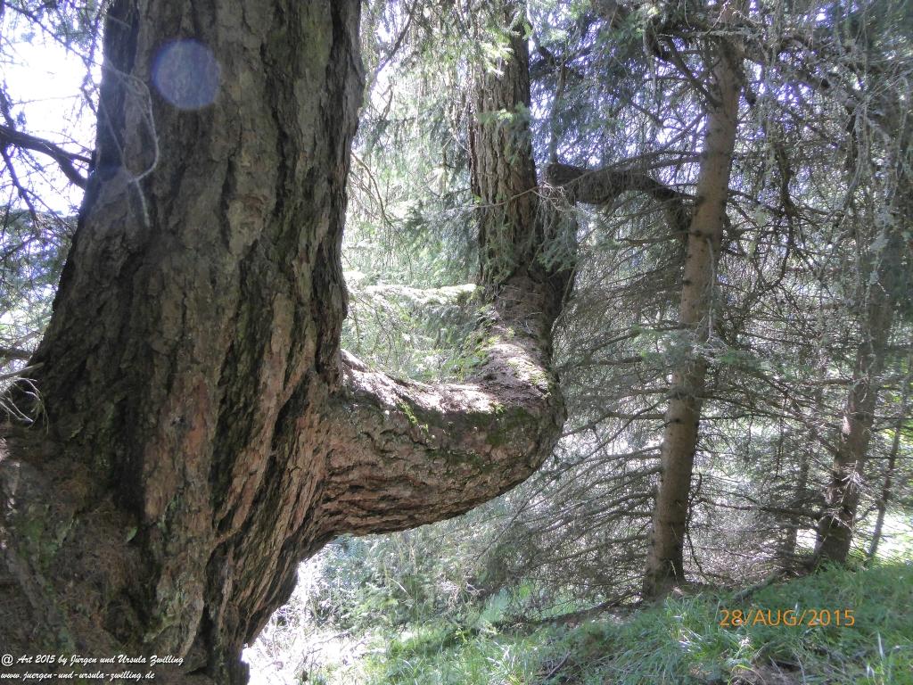 Philosophische Bildwanderung Starkenburger Hütte - Neustift in Tirol - Stubaital - Österreich