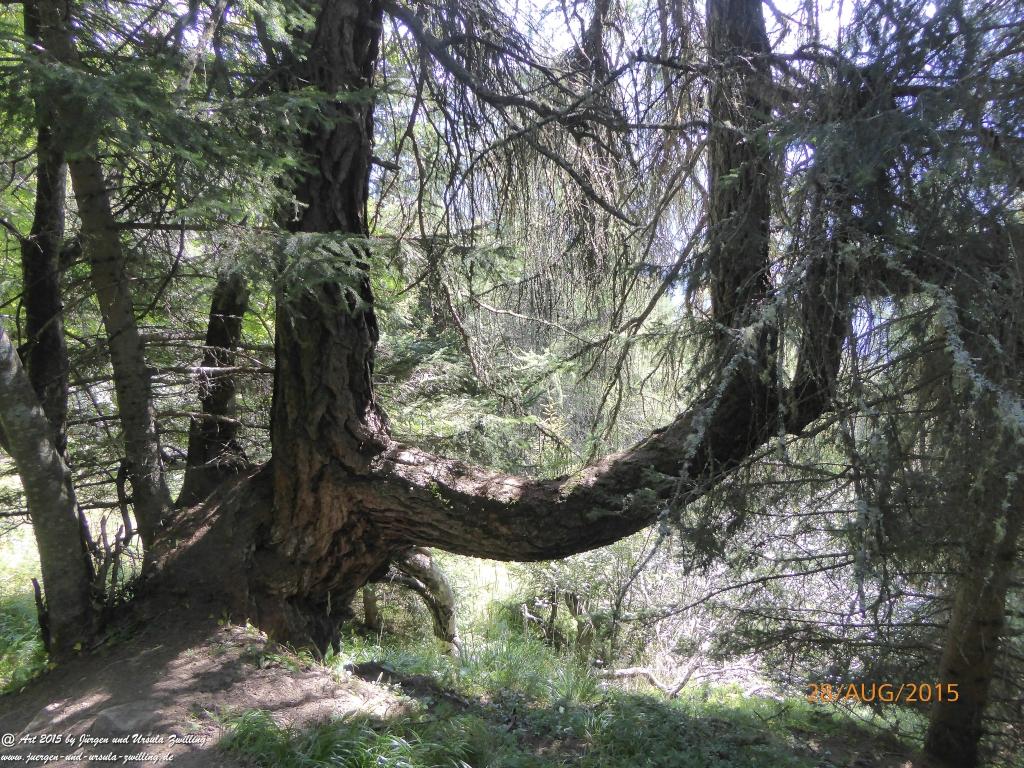 Philosophische Bildwanderung Starkenburger Hütte - Neustift in Tirol - Stubaital - Österreich