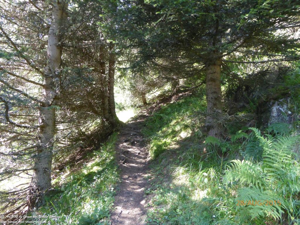 Philosophische Bildwanderung Starkenburger Hütte - Neustift in Tirol - Stubaital - Österreich