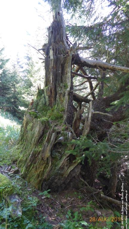 Philosophische Bildwanderung Starkenburger Hütte - Neustift in Tirol - Stubaital - Österreich