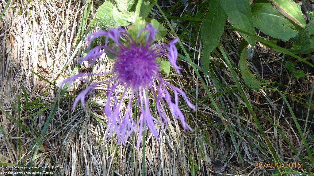 Philosophische Bildwanderung Starkenburger Hütte - Neustift in Tirol - Stubaital - Österreich