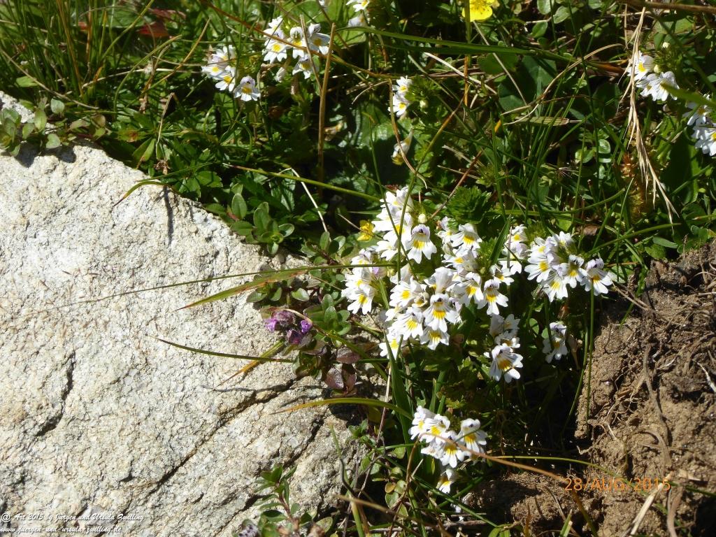 Philosophische Bildwanderung Starkenburger Hütte - Neustift in Tirol - Stubaital - Österreich