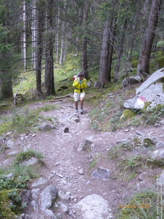 Philosophische Bildwanderung Neue Regensburger Hütte - Neustift in Tirol - Stubaital - Österreich